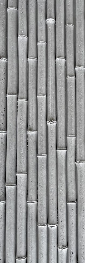 Bamboo