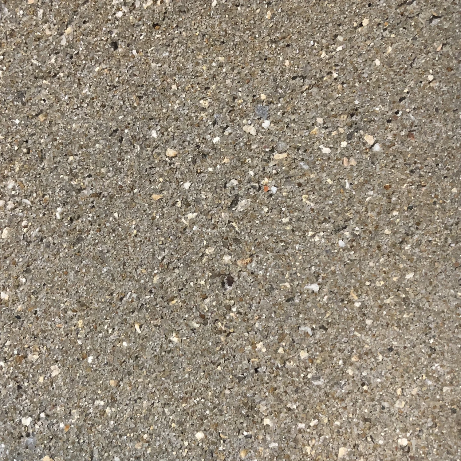 Beige taklamar