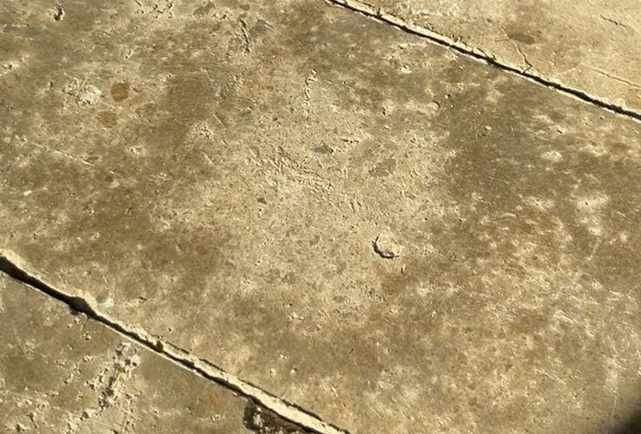 110 × 55 × 235 mm