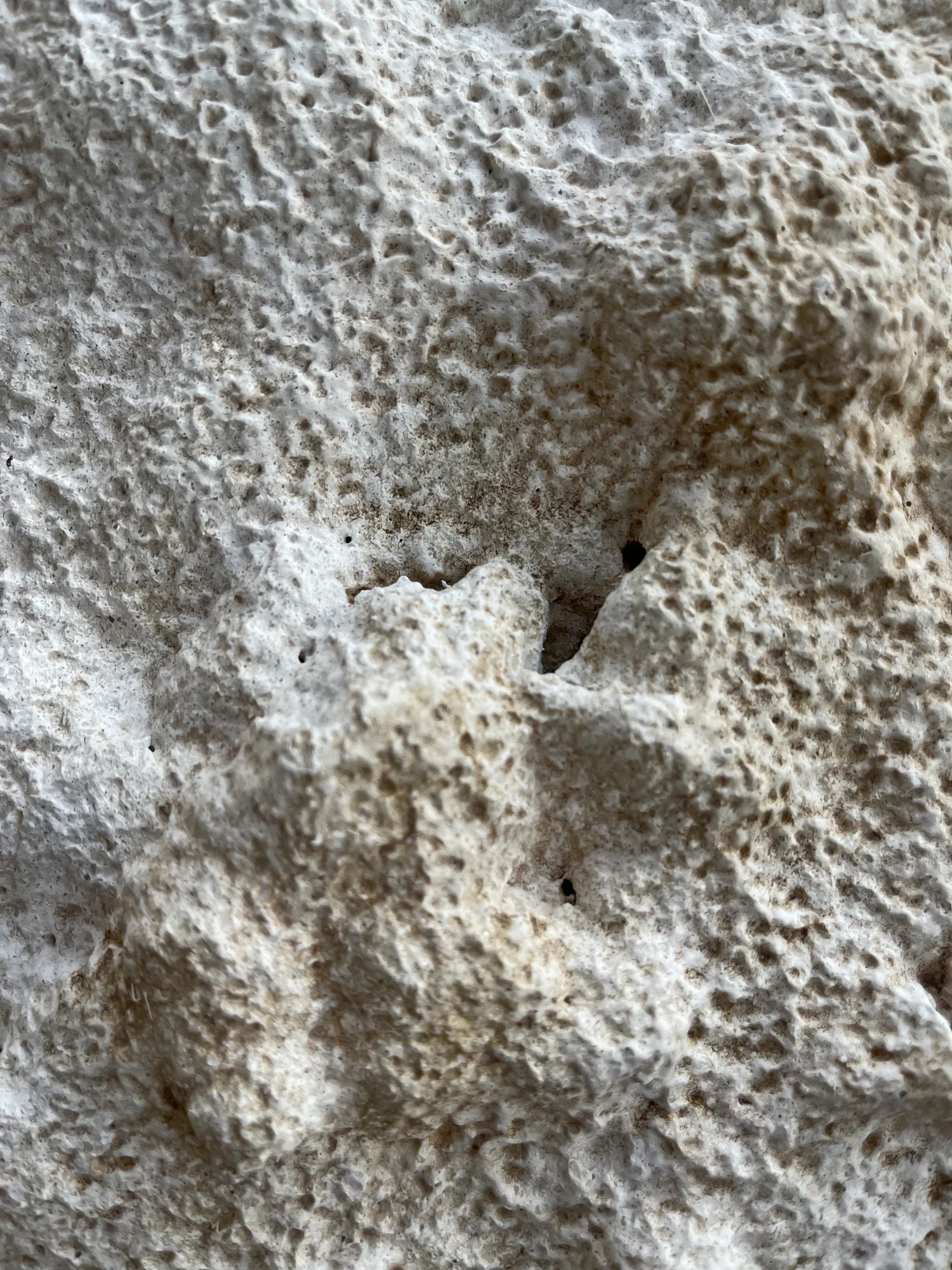 Beige Stalactite