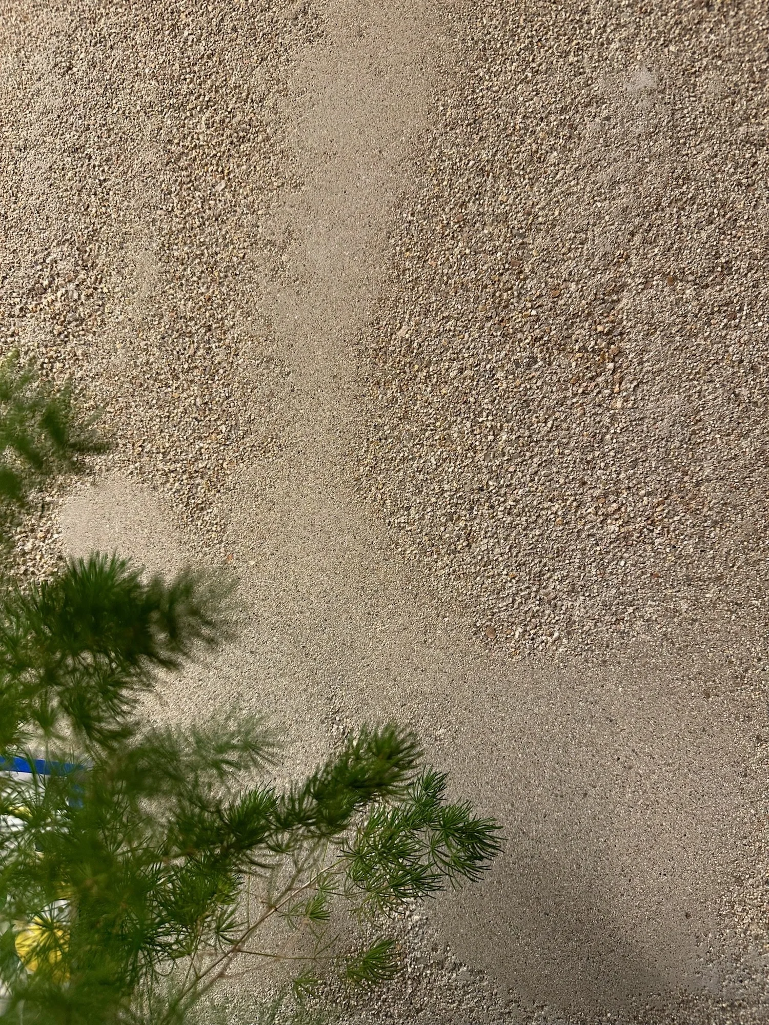 Common Scents — JIALAN project concrete project (view 7)