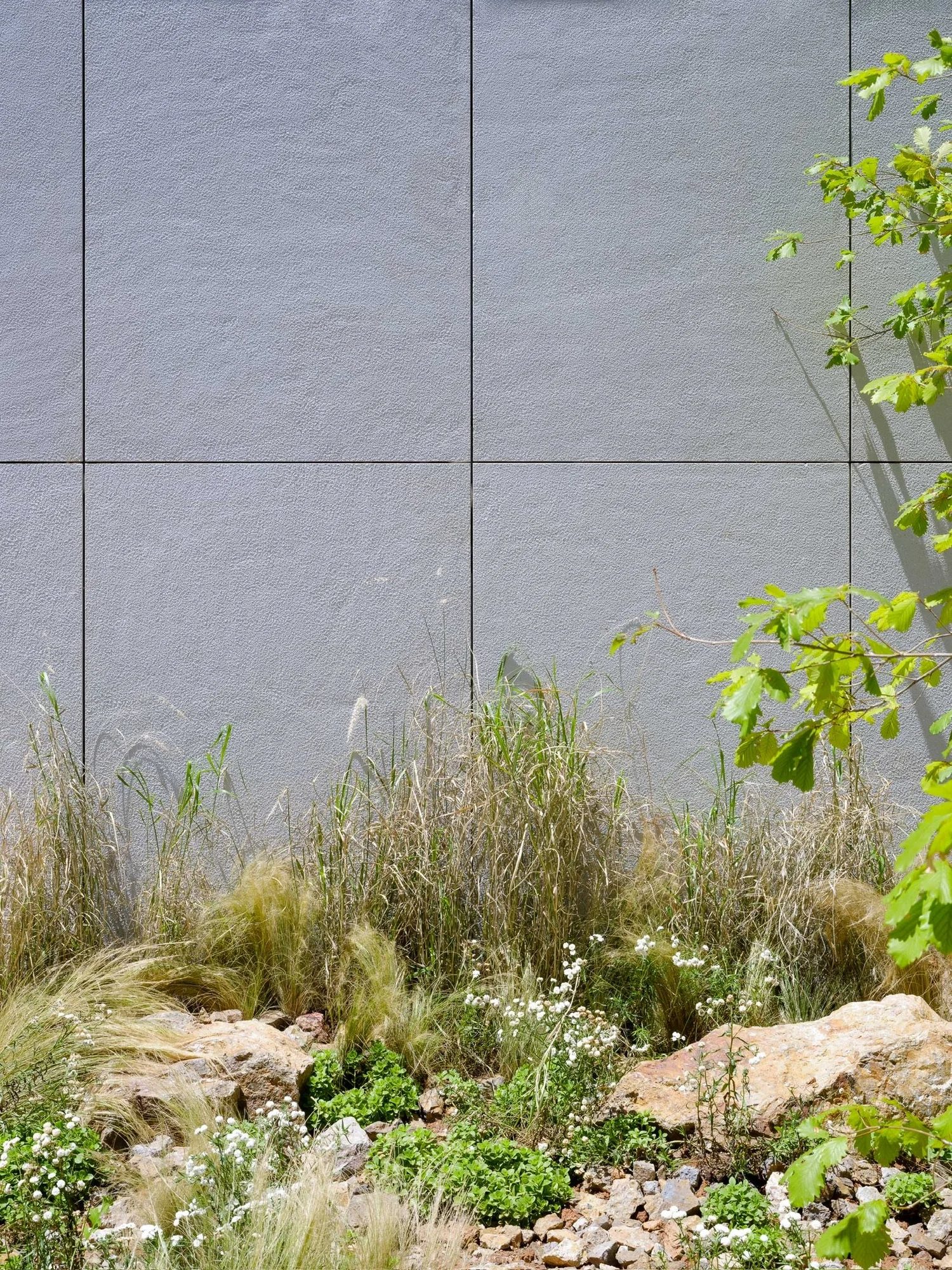 Wilderness Botanical Garden — JIALAN project concrete project (view 4)